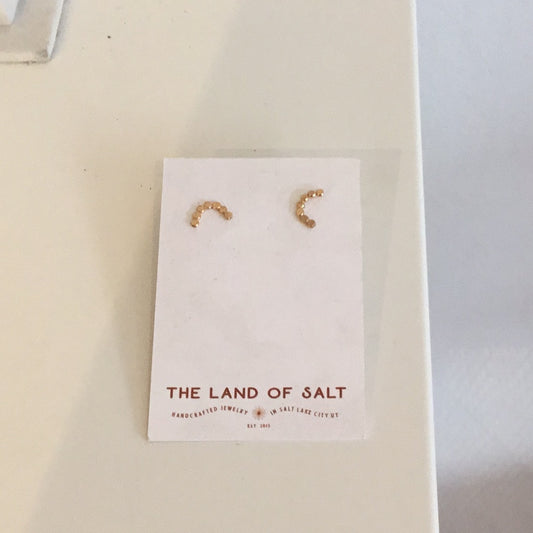 The land of salt earrings