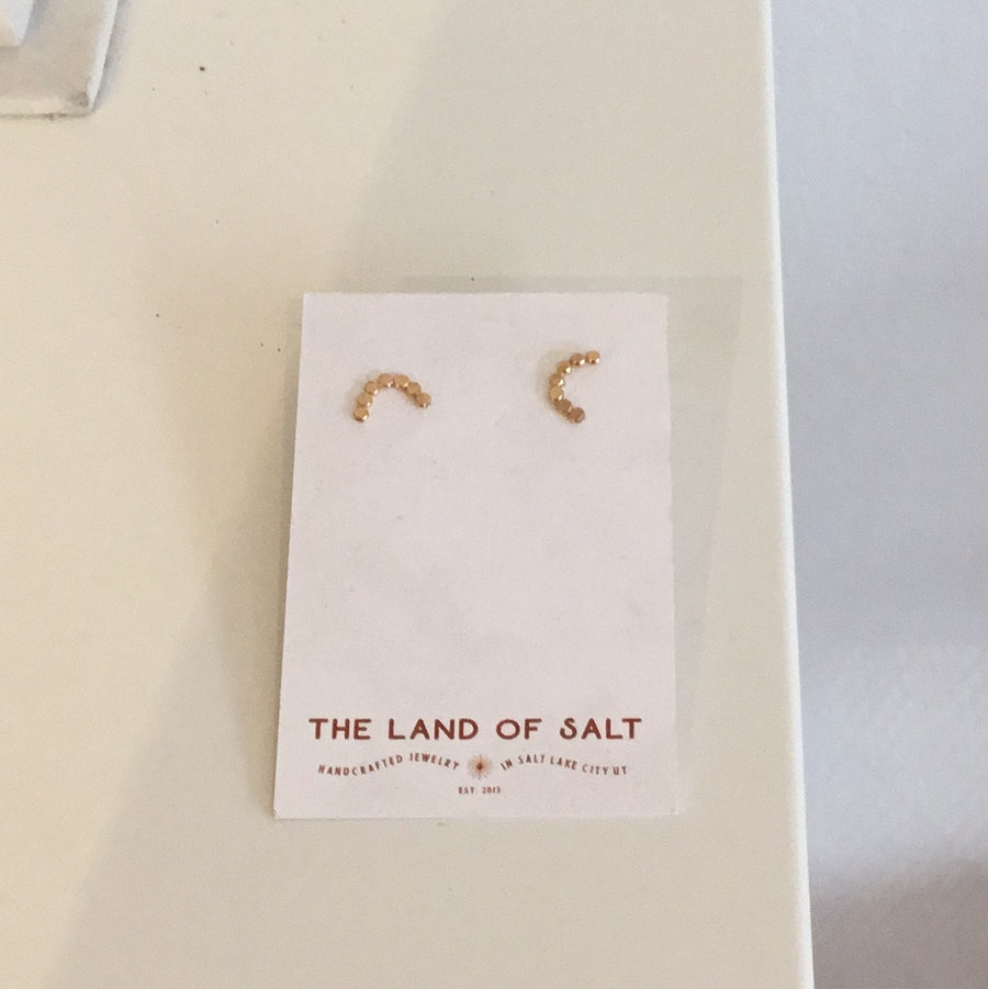 The land of salt earrings